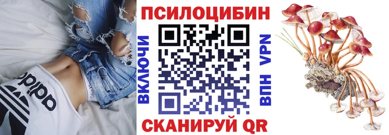 ссылка на мегу как зайти  Весьегонск  Псилоцибиновые грибы мухоморы 